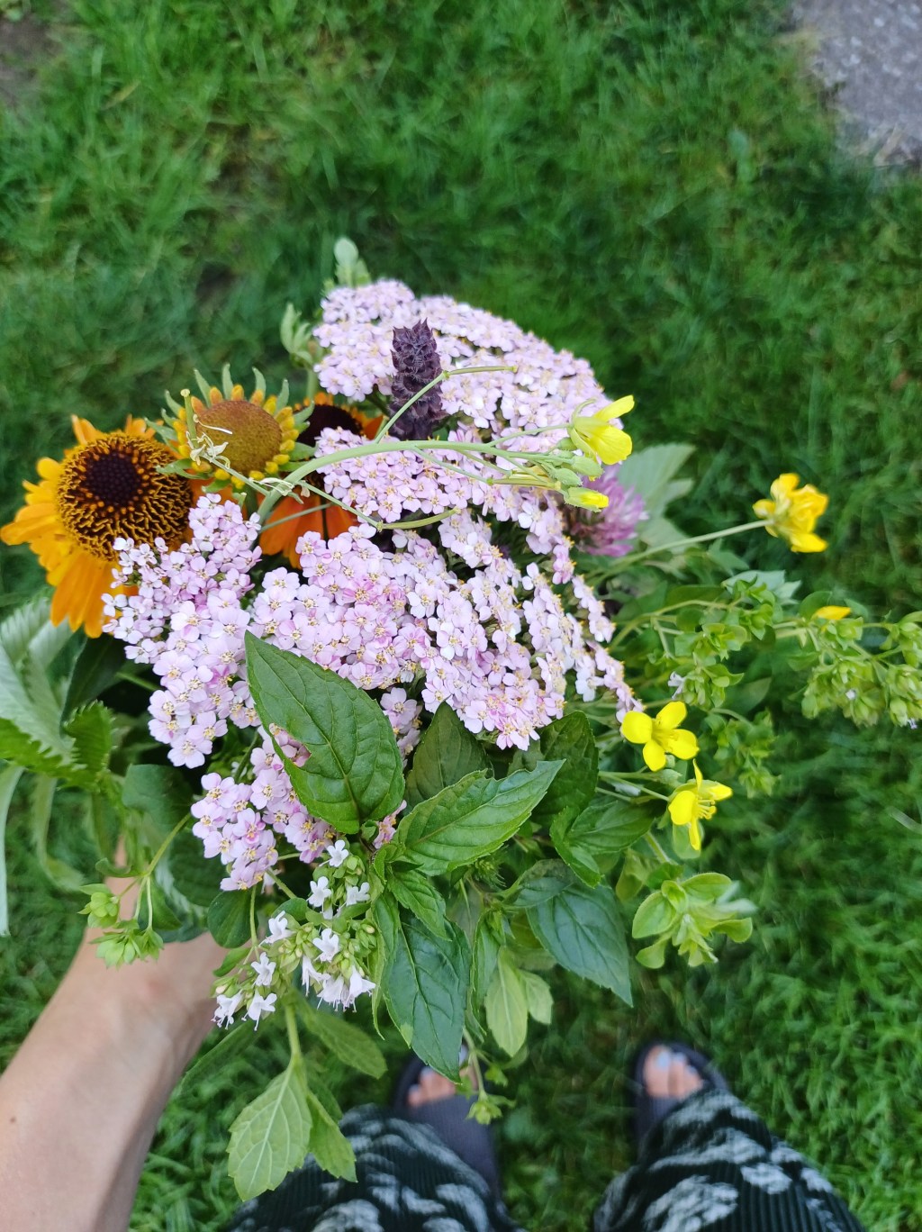 Das Kräuterbüschel 🌼