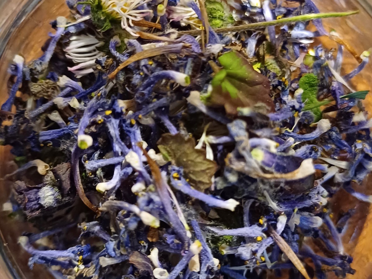 Blüten-Topping 🌸